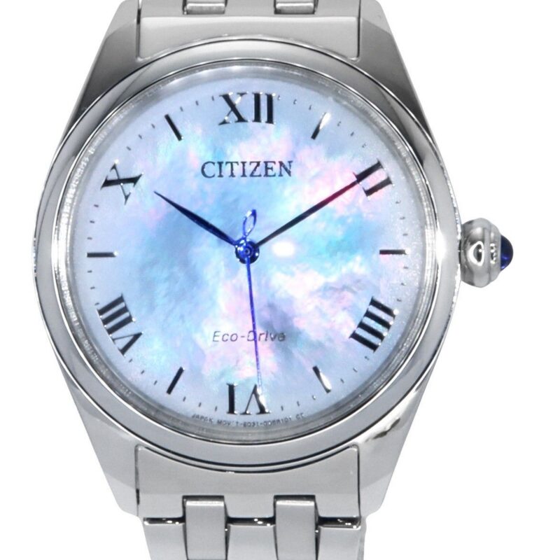 Citizen Men's 43mm Stainless Steel Watch (EM1140-80D)