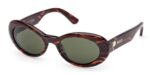 Emilio Pucci Men's EP0234 Havana/Green Sunglasses