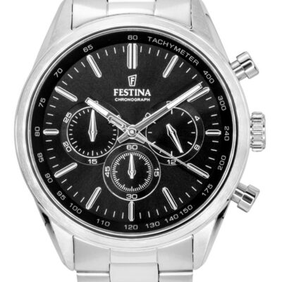 Festina Men's Stainless Steel Watch (F16820-4)
