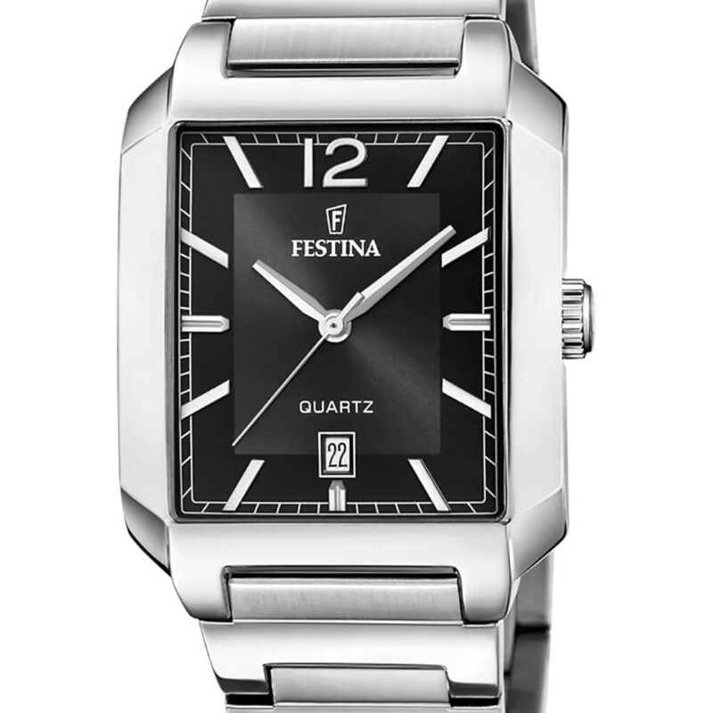 Festina Men's Stainless Steel Watch (F20677_4)