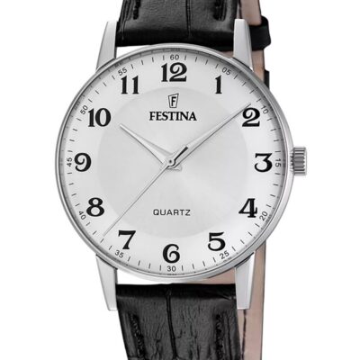 Festina Men's Stainless Steel Watch (F20690_1)