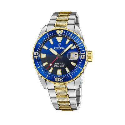 Festina Men's 41mm Ss Ip Gold Watch (F20706_1)