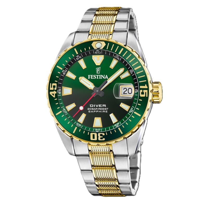Festina Men's 41mm Ss Ip Gold Watch (F20706_2)