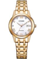 Citizen Men's 43mm Watch (FE1243-83A)