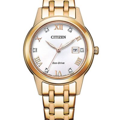 Citizen Men's 43mm Watch (FE1243-83A)