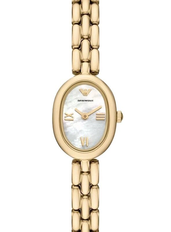 EMPORIO ARMANI FO-AR11721 Watch