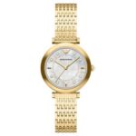 EMPORIO ARMANI FO-AR11809 Watch
