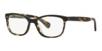 Oliver Peoples Women's FOLLIES OV 5194 Cocobolo/Sand Wash Eyeglasses