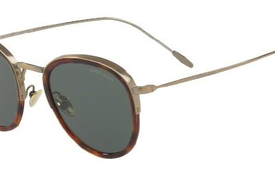 Giorgio Armani Men's FRAMES OF LIFE AR 6068 Red Havana/Green Sunglasses
