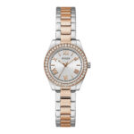 Guess Women's 30mm Stainless Steel Watch (GW0841L3)