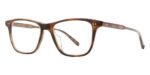 Garrett Leight Men's HAYES Spotted Brown Shell Eyeglasses