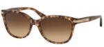 Coach HC 8132 Light Brown Pattern/Brown Shaded Sunglasses