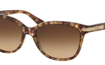 Coach HC 8132 Light Brown Pattern/Brown Shaded Sunglasses