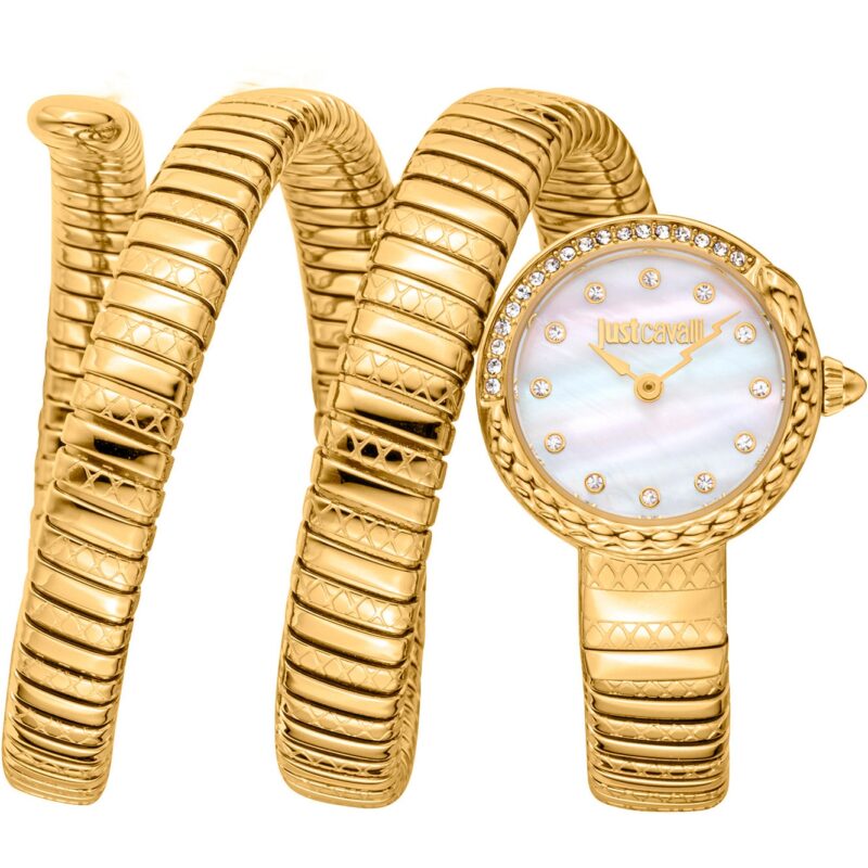 Just Cavalli Men's 44mm Watch (JC1L302M0025)