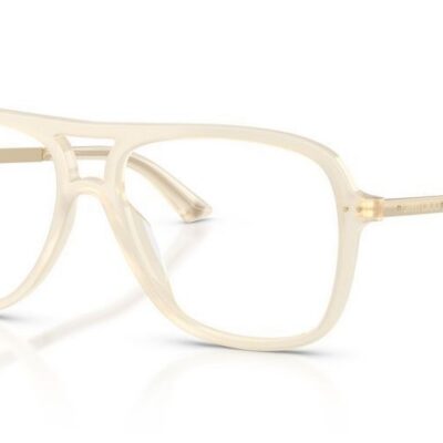 JIMMY CHOO JC 3052U Women's Eyeglasses