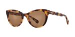 Garrett Leight Men's JESS SUN Savannah Tortoise/Flat Cider Sunglasses