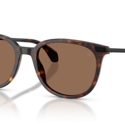Moncler Men's KORRA ME6013 Shiny Dark Havana/Brown Sunglasses