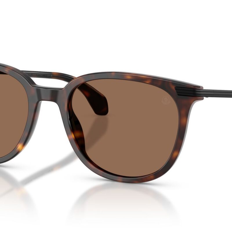 Moncler Men's KORRA ME6013 Shiny Dark Havana/Brown Sunglasses Moncler Men's KORRA ME6013 Shiny Dark Havana/Brown Sunglasses