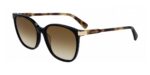 Longchamp Women's LO612S Black Havana/Brown Sunglasses