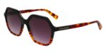 Longchamp Women's LO760S N Black Havana/Purple Grey Shaded Sunglasses