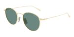 Montblanc Men's MB0473S Gold/Green Sunglasses