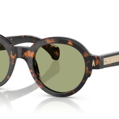 Moncler Men's ME6003 Brown Havana/Green Sunglasses
