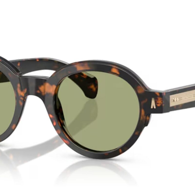Moncler Men's ME6003 Brown Havana/Green Sunglasses