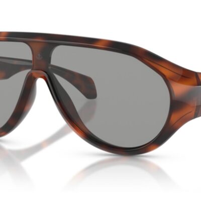Moncler Men's ME8009U Polished Havana/Solidlight Gray Sunglasses