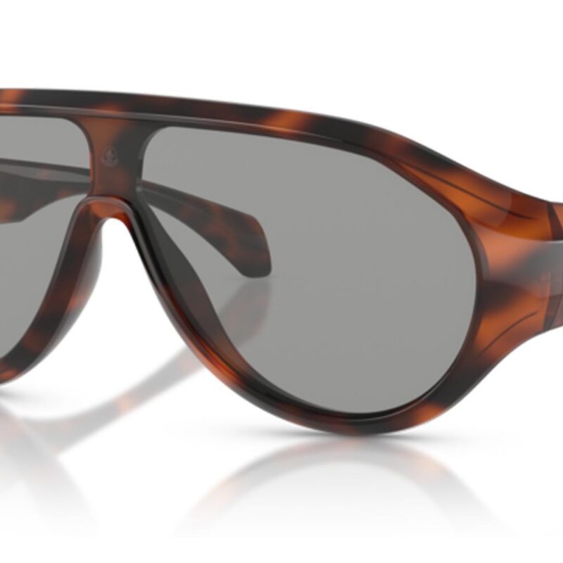 Moncler Men's ME8009U Polished Havana/Solidlight Gray Sunglasses