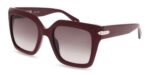 Police NEW DAWN 4 SPLR26E Burgundy/Brown Shaded Sunglasses