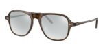 Oliver Peoples NILOS OV 5439U Espresso/Sea Mist Eyeglasses