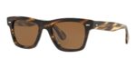 Oliver Peoples OLIVER SUN OV 5393SU Cocobolo/Brown Sunglasses