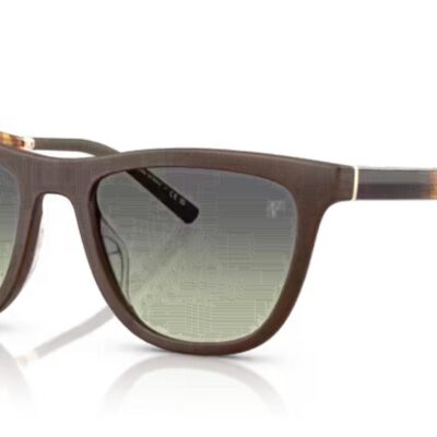 Oliver Peoples OV 5558SU Semi Opaque Umber/Forest Gradient Sunglasses
