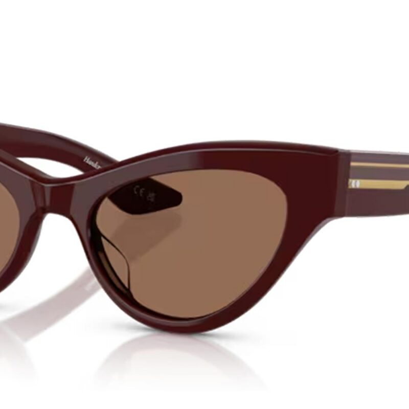 Oliver Peoples OV 5573SU Red/Brown Sunglasses