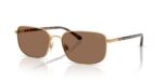 Polo Ralph Lauren Men's PH3159 Gold/Brown Sunglasses