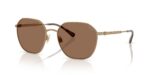 Polo Ralph Lauren Men's PH3160 Gold/Brown Sunglasses