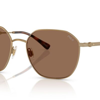Polo Ralph Lauren Men's PH3160 Gold/Brown Sunglasses