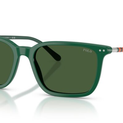 Polo Ralph Lauren Men's PH4226 Dark Green/Green Sunglasses