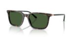 Polo Ralph Lauren Men's PH4226 Shiny Havana/ Green Sunglasses