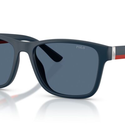 Polo Ralph Lauren Men's PH4229U Blu Navy/Blue Sunglasses