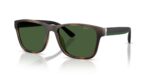Polo Ralph Lauren Men's PH4229U Matte Havana/ Green Sunglasses