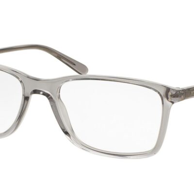 Polo Ralph Lauren PH 2155 Transparent Light Grey Eyeglasses