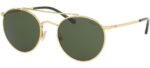 Polo Ralph Lauren Men's PH 3114 Gold/Green Sunglasses