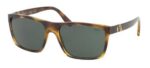 Polo Ralph Lauren Men's PH 4133 Havana/Green Sunglasses
