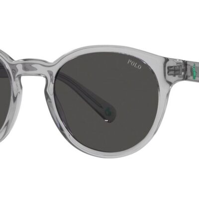 Polo Ralph Lauren Men's PH 4192 Shiny Transparent Grey/Dark Grey Sunglasses