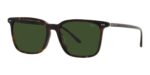 Polo Ralph Lauren Men's PH 4194U Shiny Dark Havana/Dark Green Sunglasses