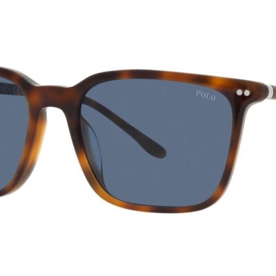 Polo Ralph Lauren Men's PH 4194U Red Havana/Blue Sunglasses