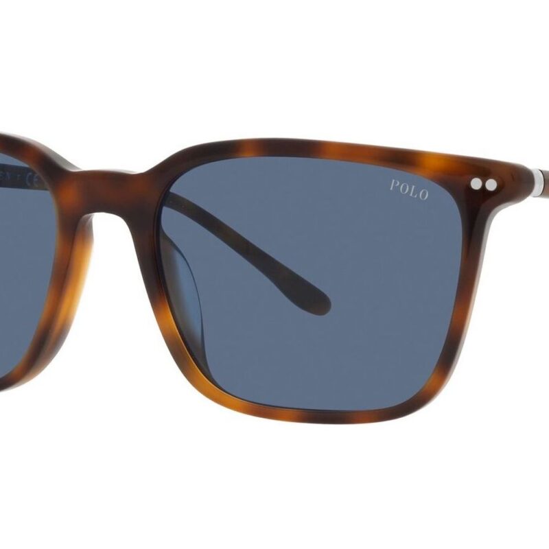 Polo Ralph Lauren Men's PH 4194U Red Havana/Blue Sunglasses