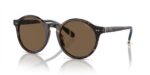 Polo Ralph Lauren PH 4204U Shiny Dark Havana/Brown Sunglasses