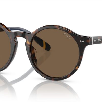 Polo Ralph Lauren PH 4204U Shiny Dark Havana/Brown Sunglasses
